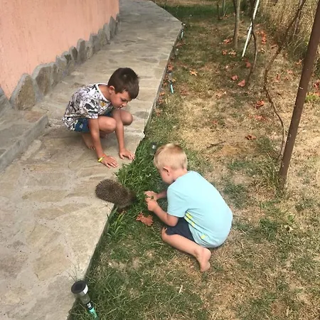 Πανσιόν за гости тони *