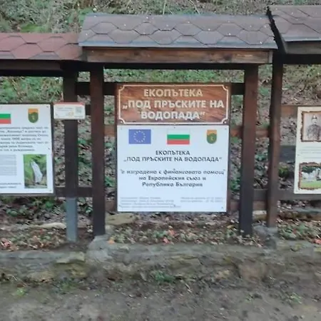 Toni за гости тони