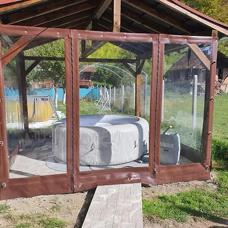 Toni за гости тони