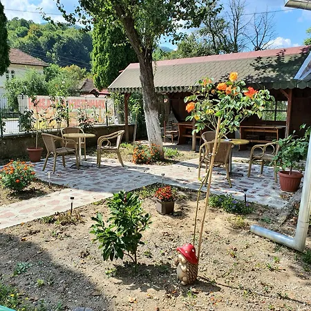 за гости тони 3*