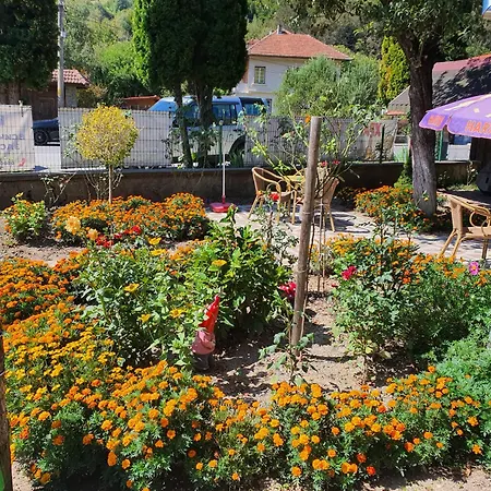 за гости тони 3* Рибарица