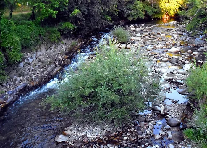 Toni за гости тони 3* Ribarica