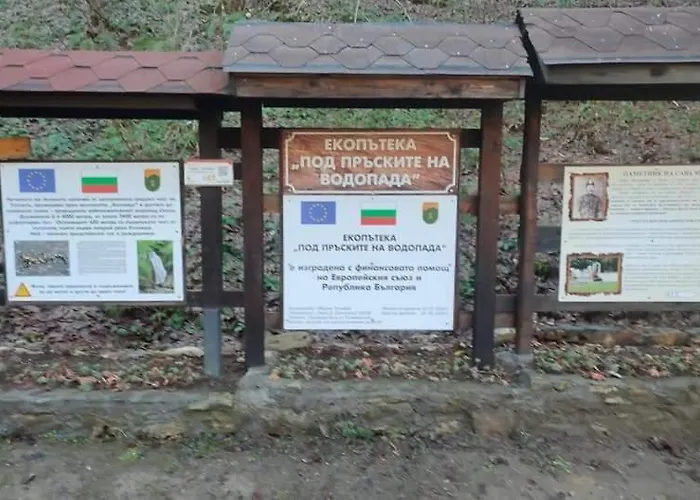 Toni за гости тони