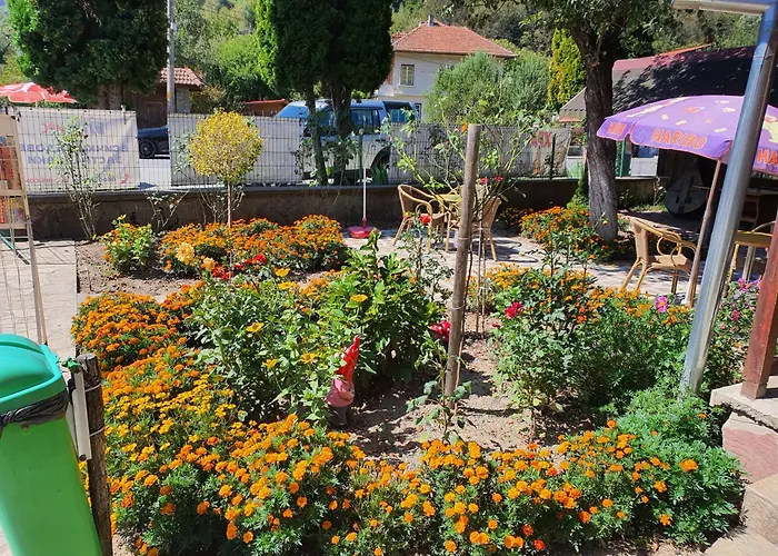 Toni за гости тони 3* Ribarica