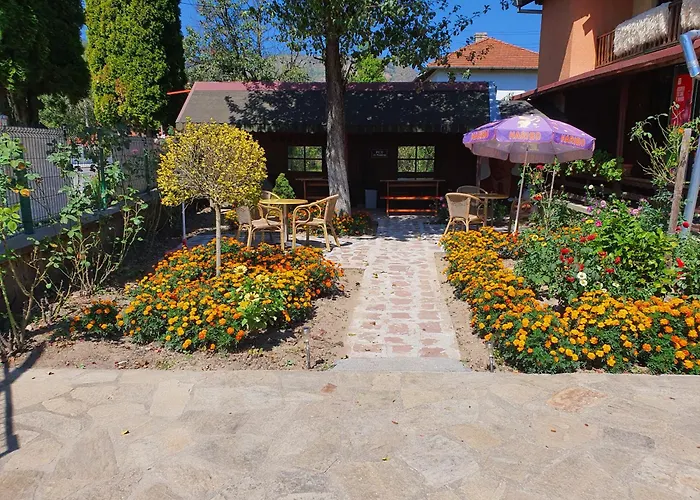 Toni за гости тони Ribarica